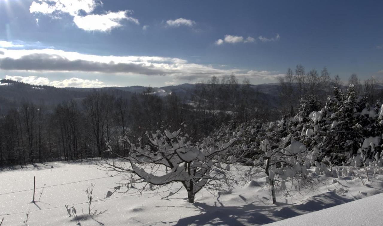 Chalet Dom Przy Lesie